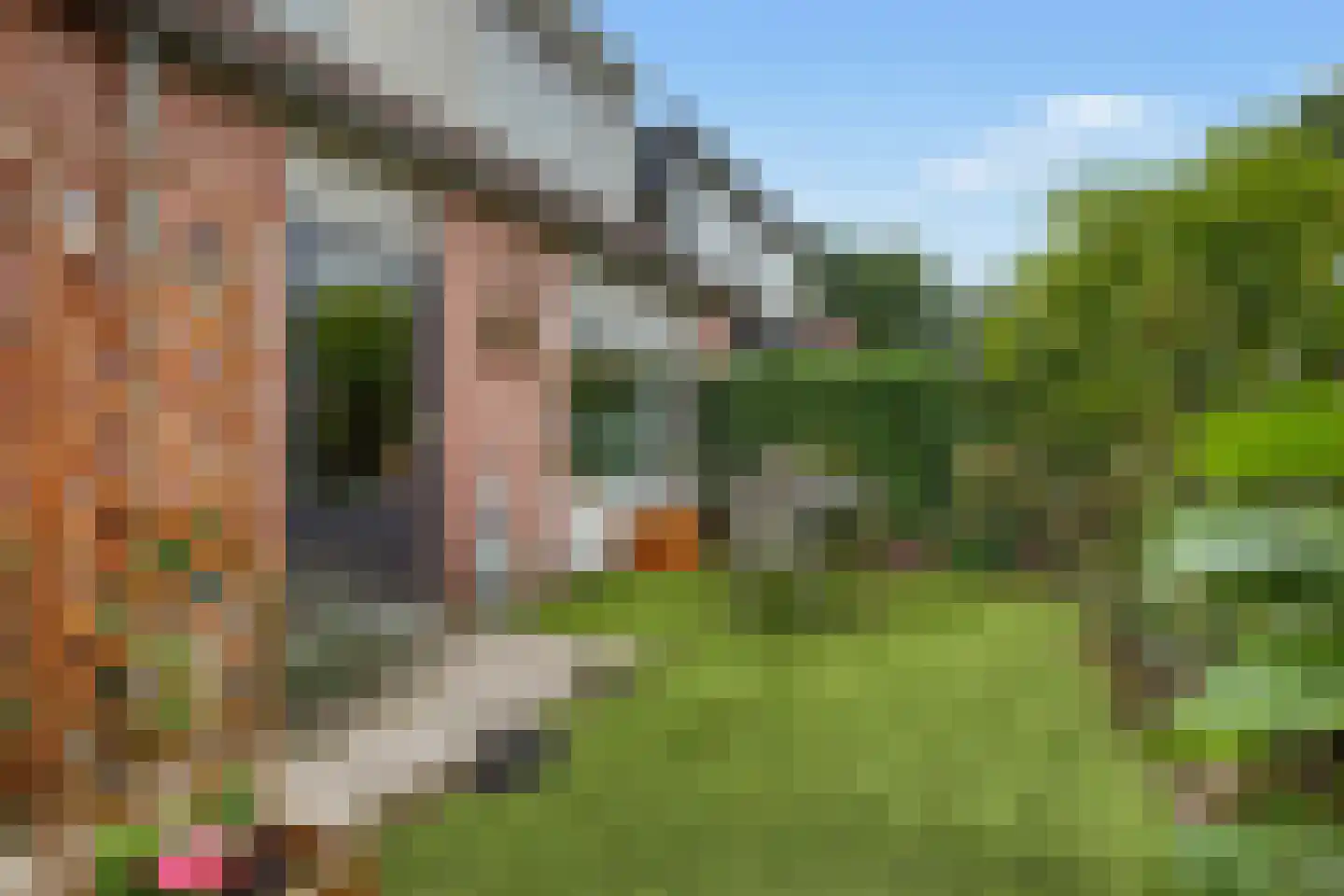 Liebeek 6 Ede thumbnail 43