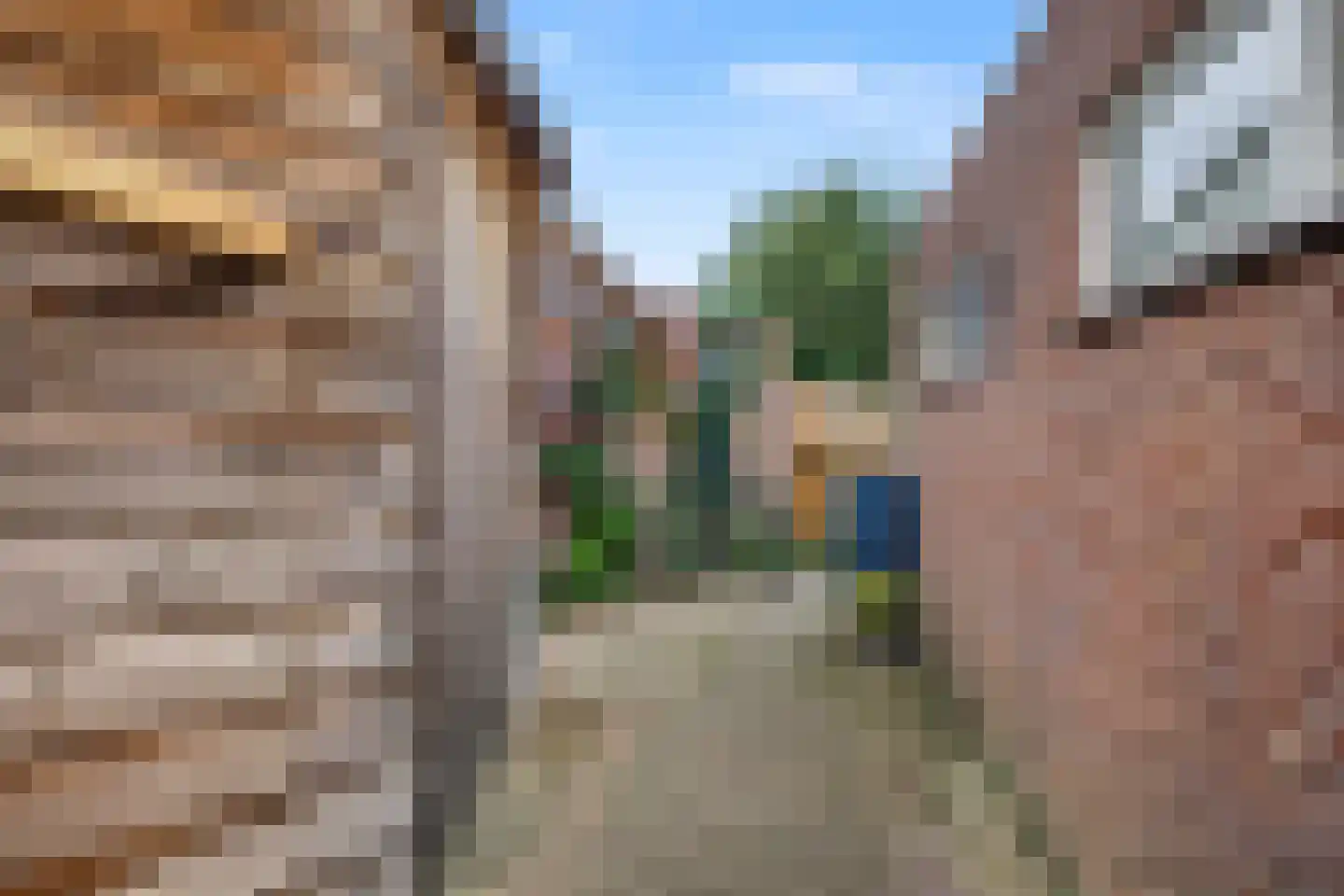 Liebeek 6 Ede thumbnail 47