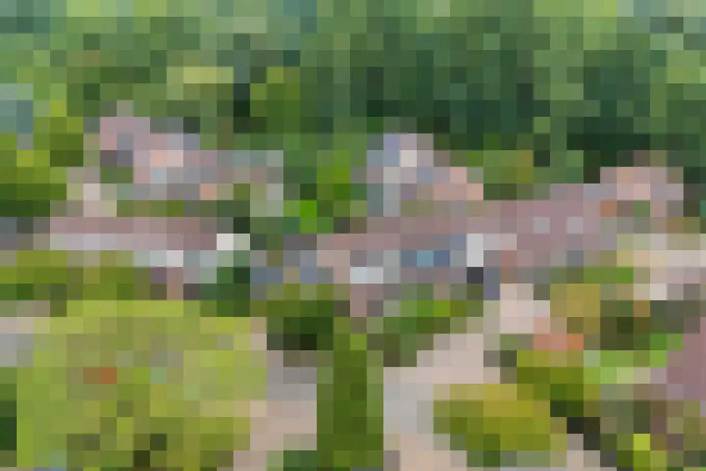 Liebeek 6 Ede thumbnail 61