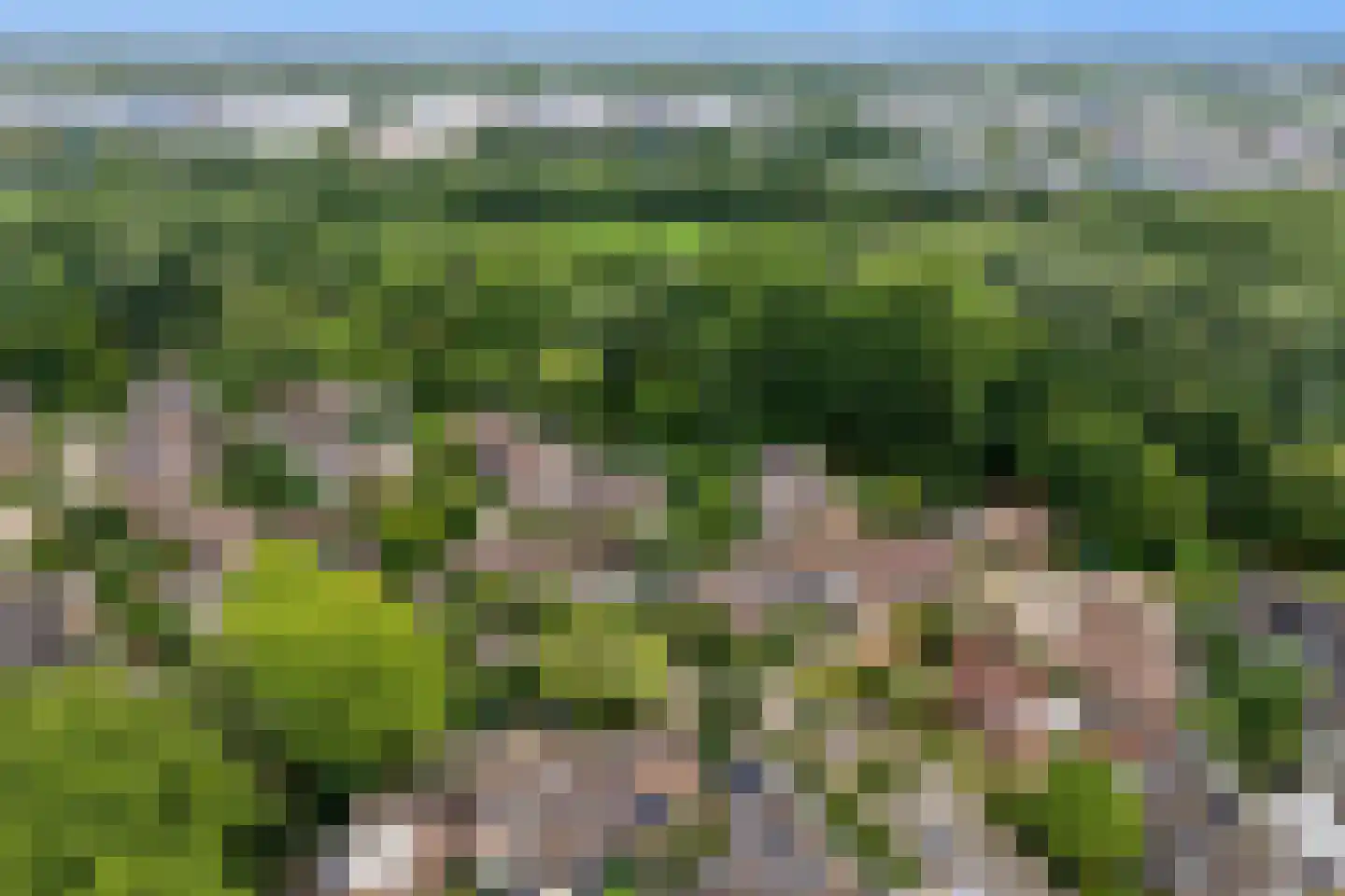 Liebeek 6 Ede thumbnail 62
