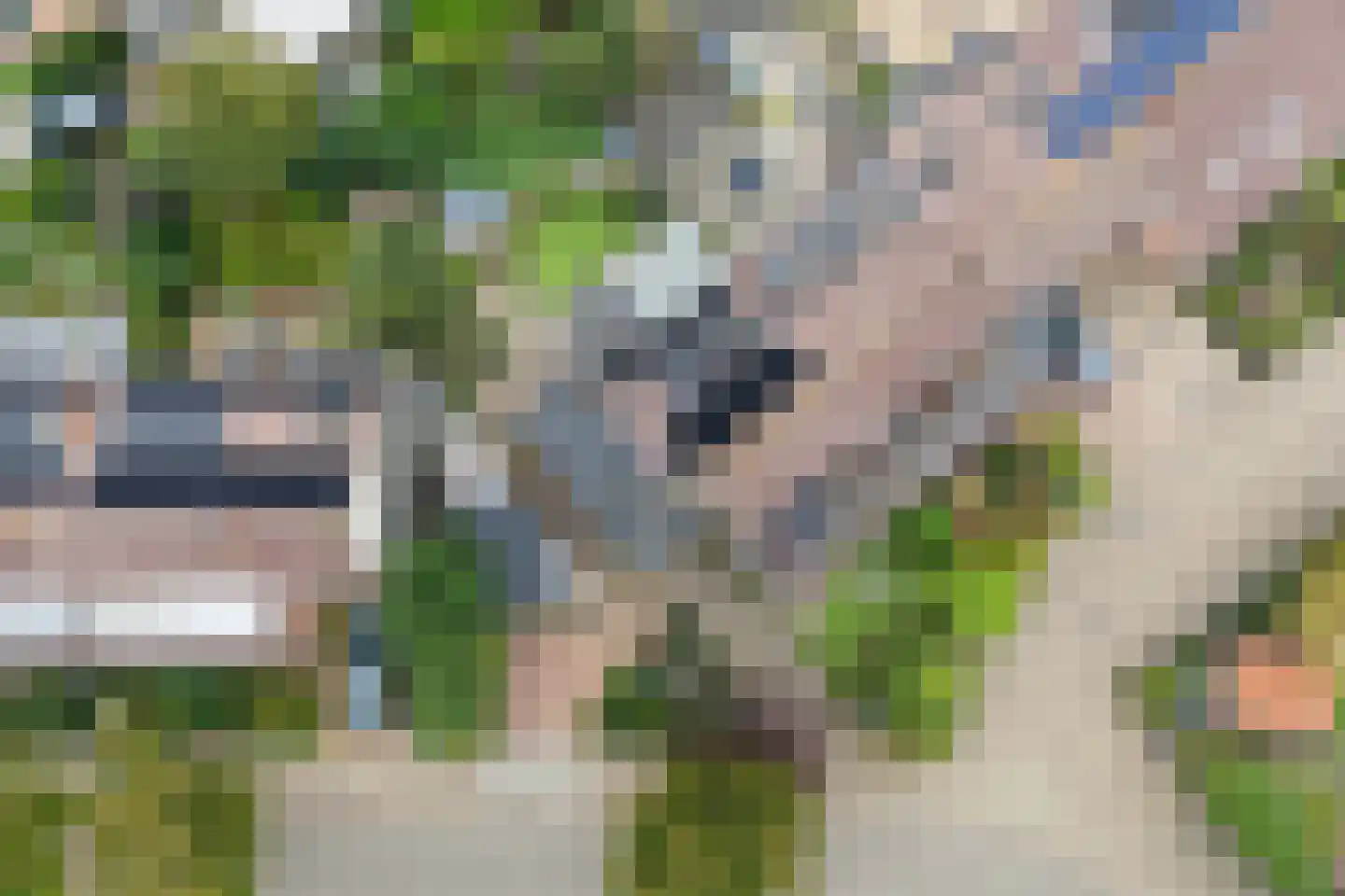 Liebeek 6 Ede thumbnail 63