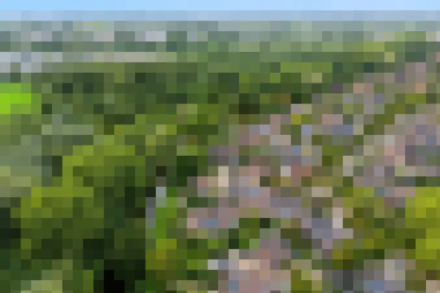 Liebeek 6 Ede thumbnail 64