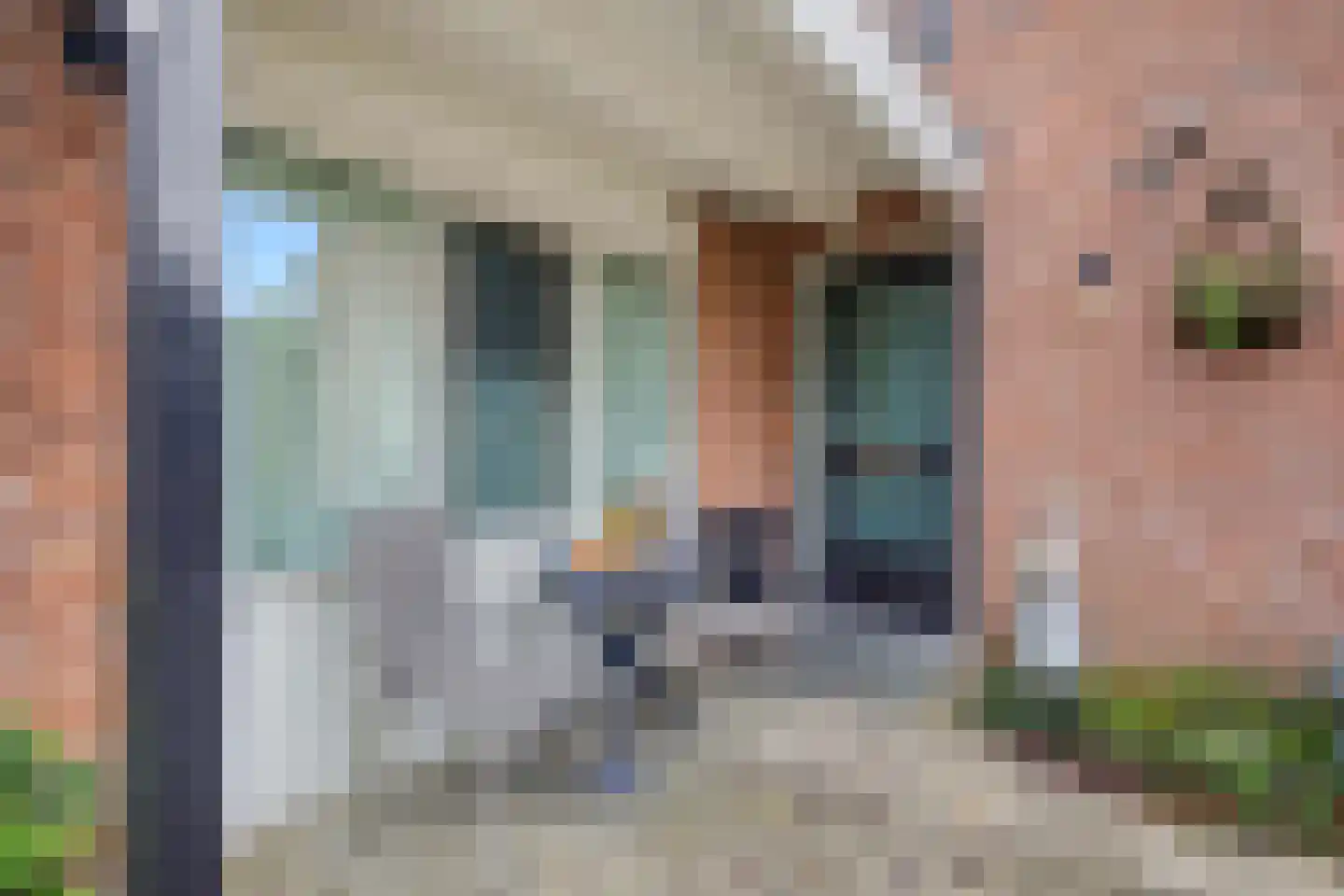 Liebeek 6 Ede thumbnail 9