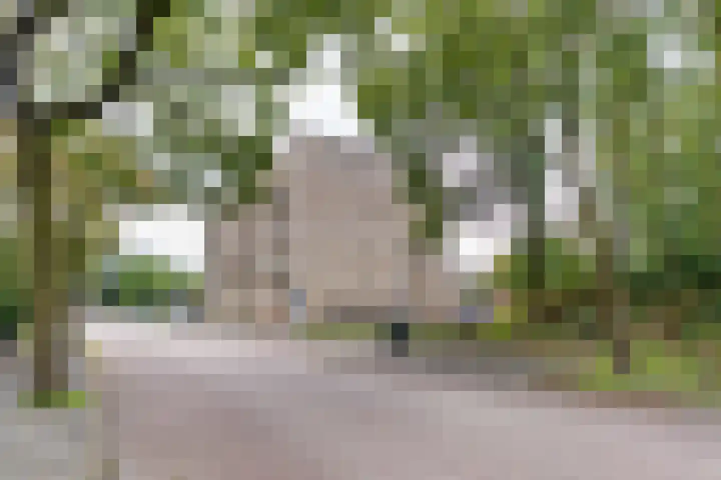 Liebergerweg 500 Hilversum thumbnail 40