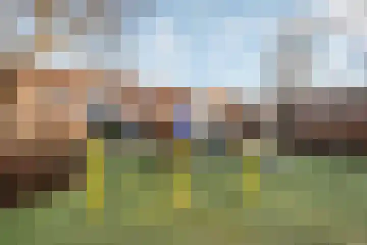 Liebergerweg 644 Hilversum thumbnail 17