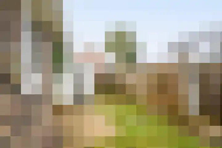 Liebergerweg 722 Hilversum thumbnail 43