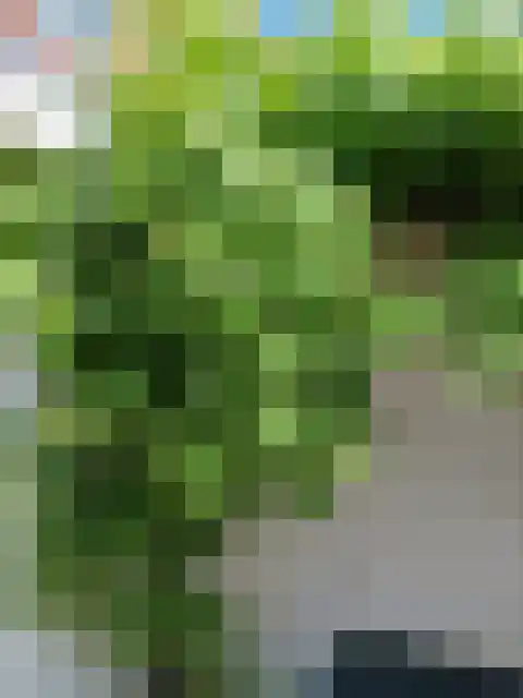 Liebergerweg 722 Hilversum thumbnail 45