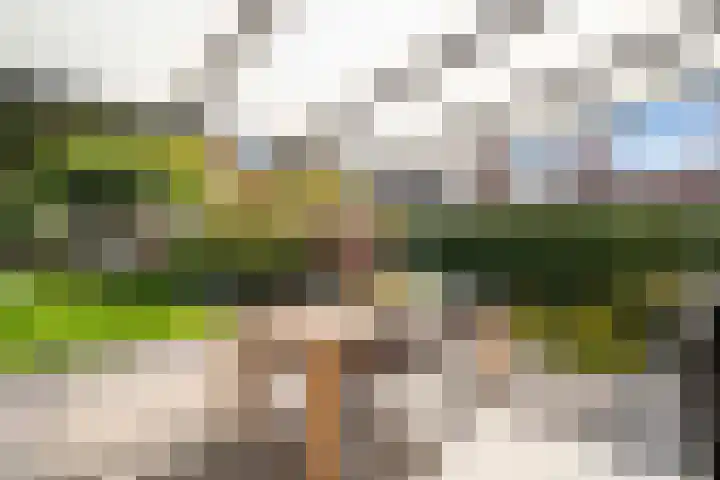 Liebetehofstraat 2 Weert thumbnail 37