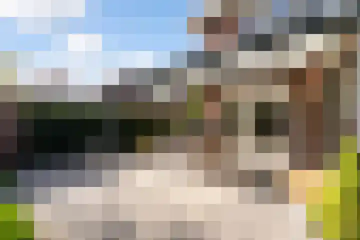 Liebetehofstraat 2 Weert thumbnail 38