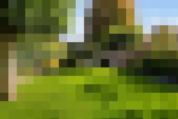 Liebetehofstraat 2 Weert thumbnail 41