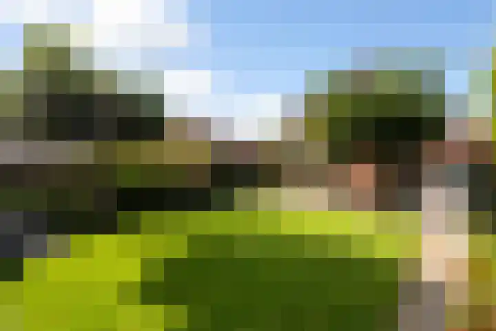 Liebetehofstraat 2 Weert thumbnail 44