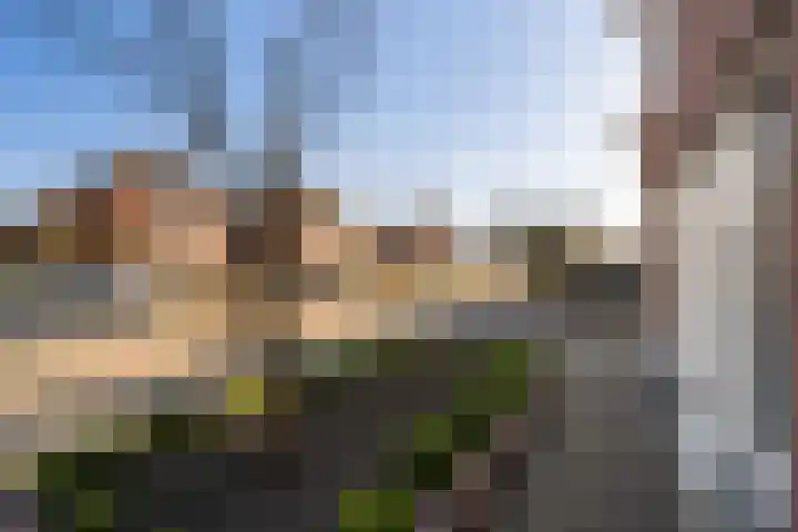 Liebetehofstraat 5 Weert thumbnail 9