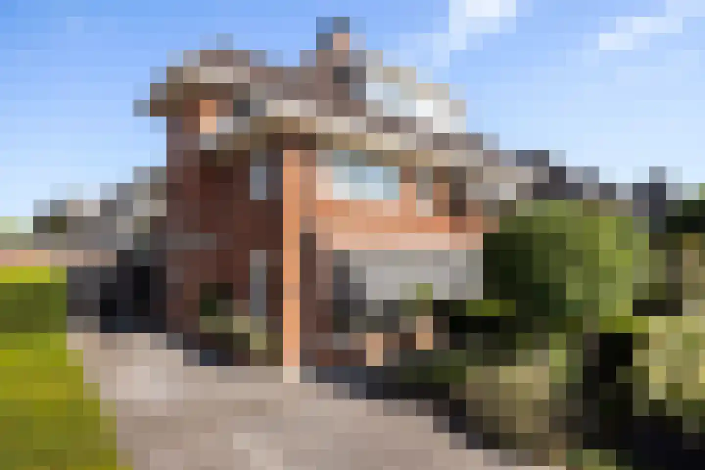 Liechtensteinhof 3 Dordrecht thumbnail 4