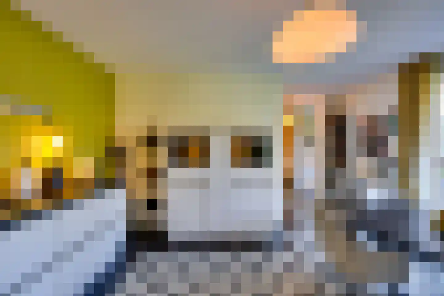 Liechtensteinhof 37 Dordrecht thumbnail 31