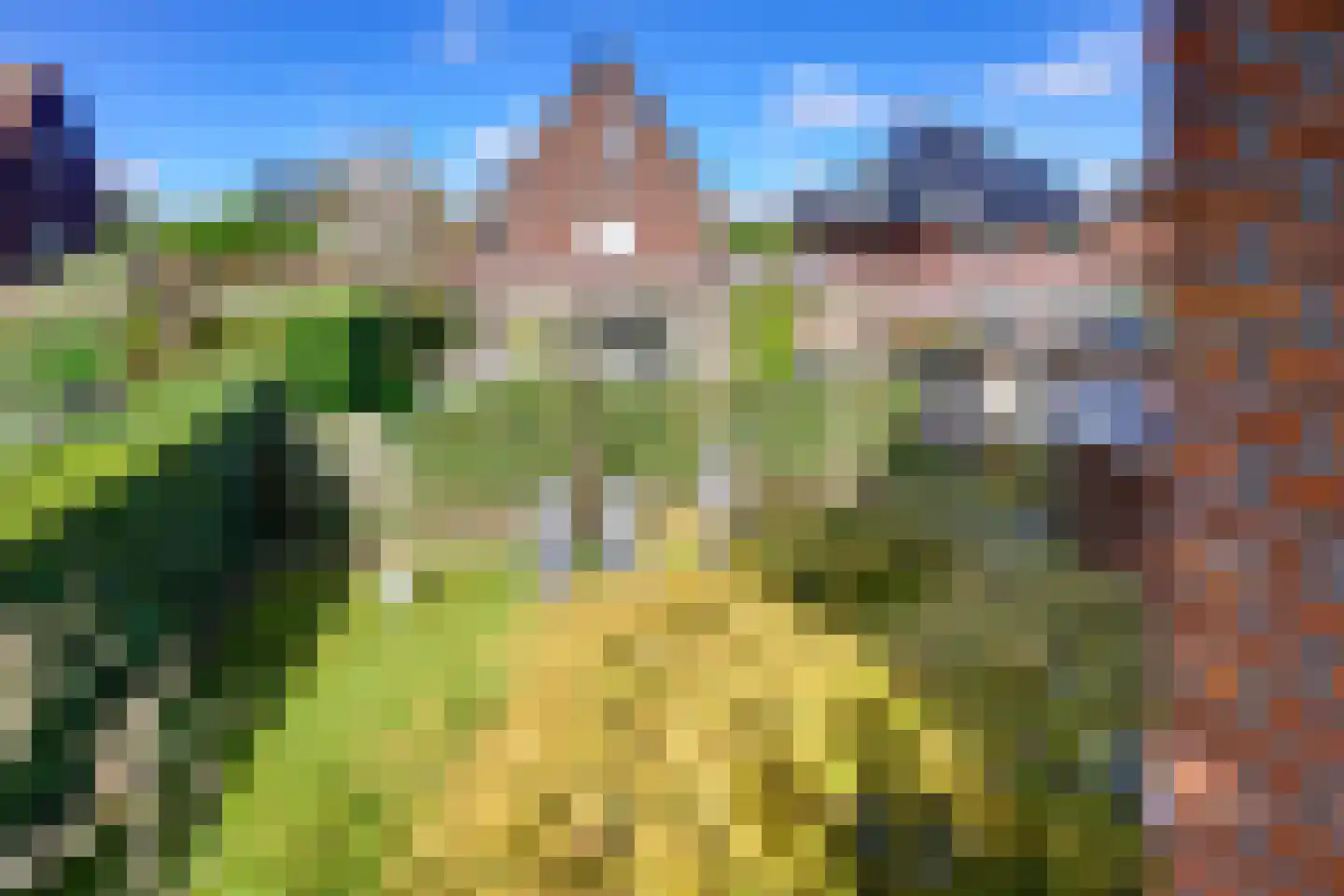 Liechtensteinhof 37 Dordrecht thumbnail 40