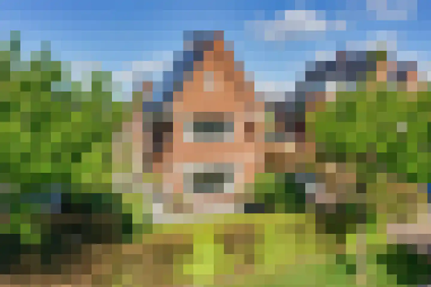 Liechtensteinhof 37 Dordrecht thumbnail 8