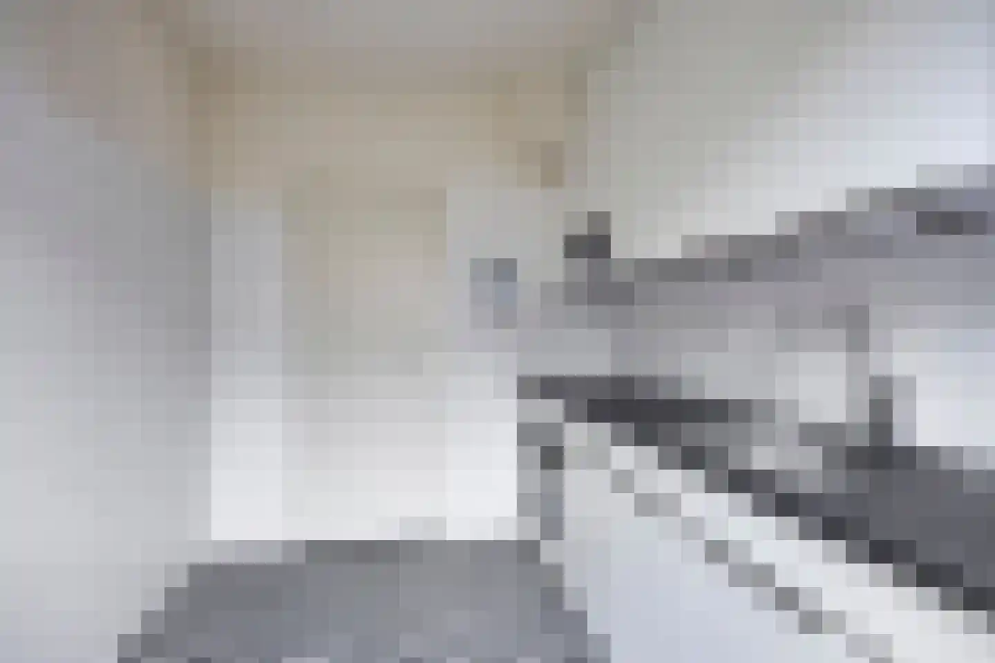 Liede 11 Zwolle thumbnail 13