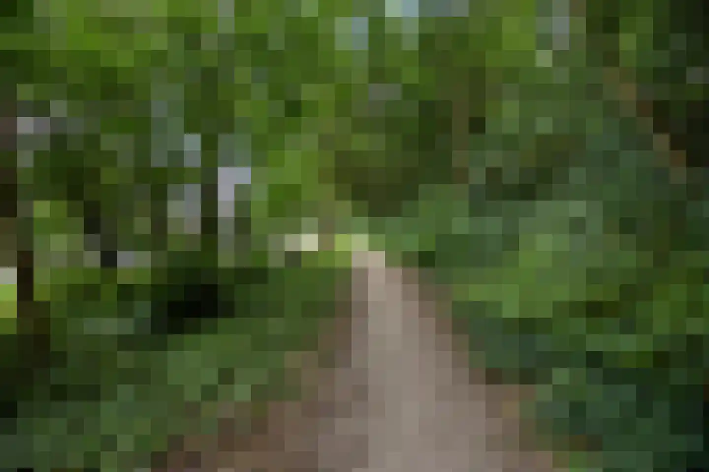Liede 11 Zwolle thumbnail 36