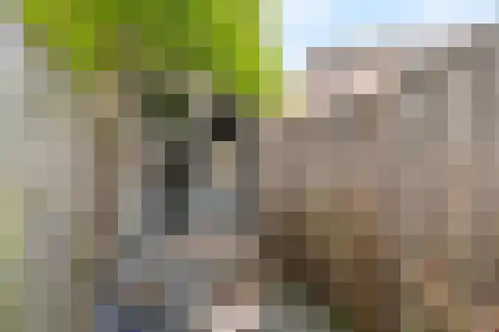 Liede 35 Rotterdam thumbnail 25