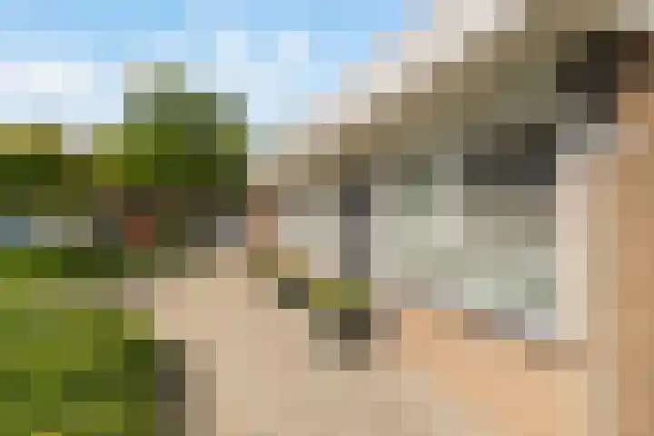 Liede 35 Rotterdam thumbnail 33