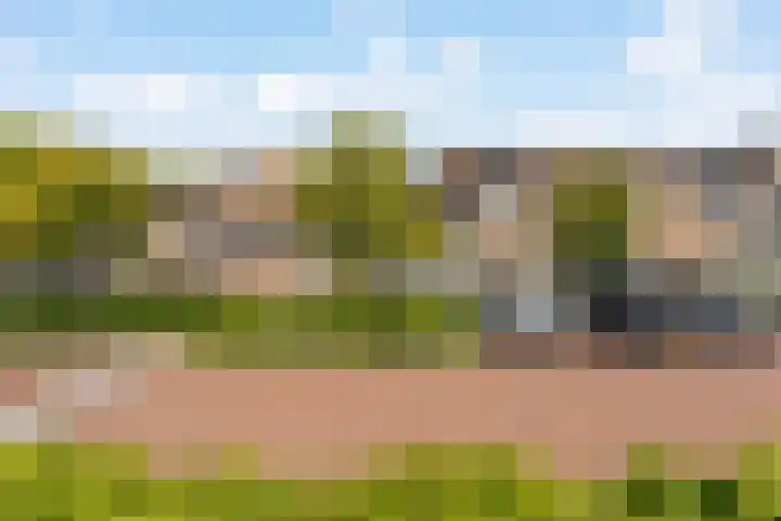 Liede 35 Rotterdam thumbnail 36