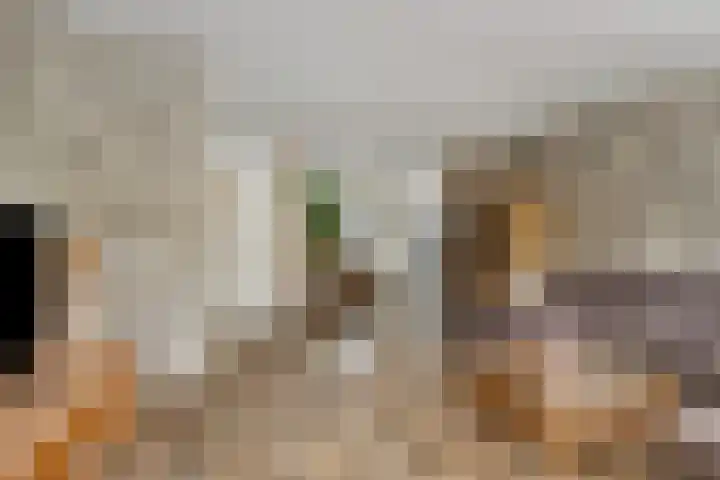 Liede 46 Rotterdam thumbnail 10
