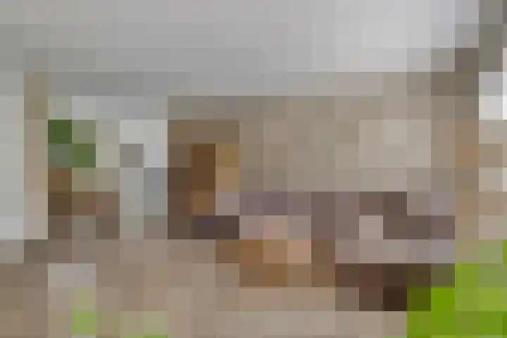Liede 46 Rotterdam thumbnail 11