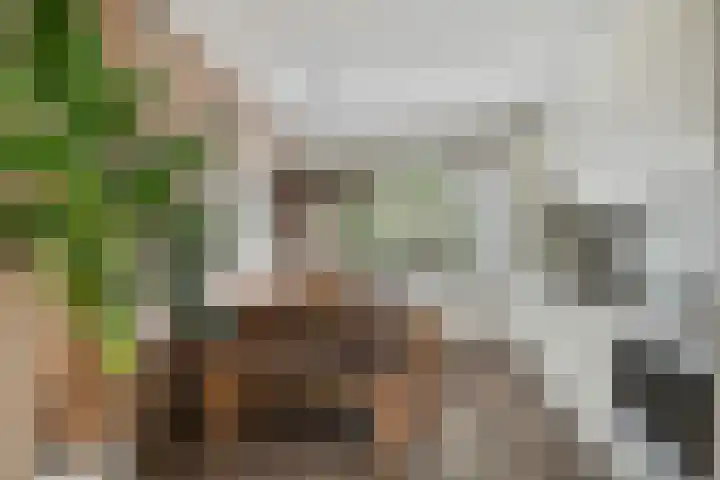 Liede 46 Rotterdam thumbnail 13