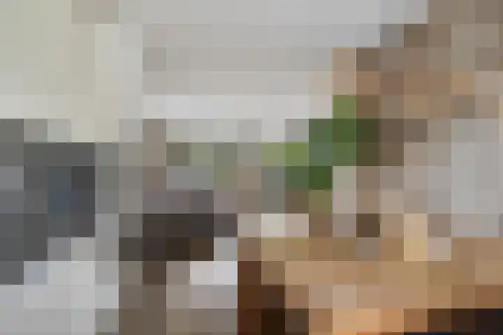 Liede 46 Rotterdam thumbnail 15