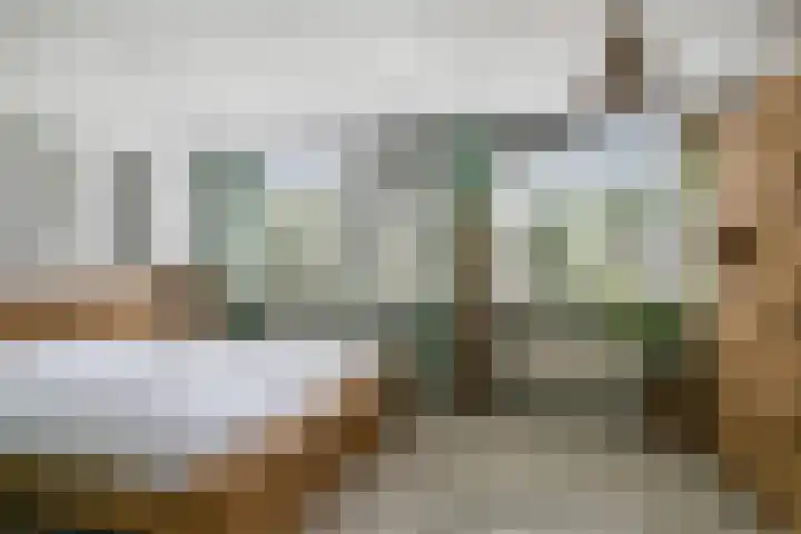 Liede 46 Rotterdam thumbnail 18