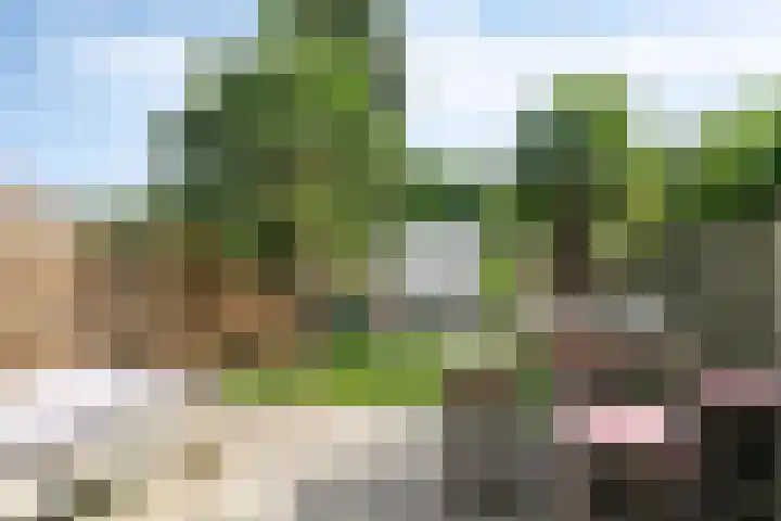 Liede 46 Rotterdam thumbnail 29