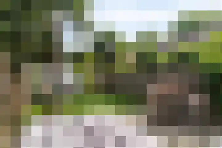 Liede 46 Rotterdam thumbnail 30