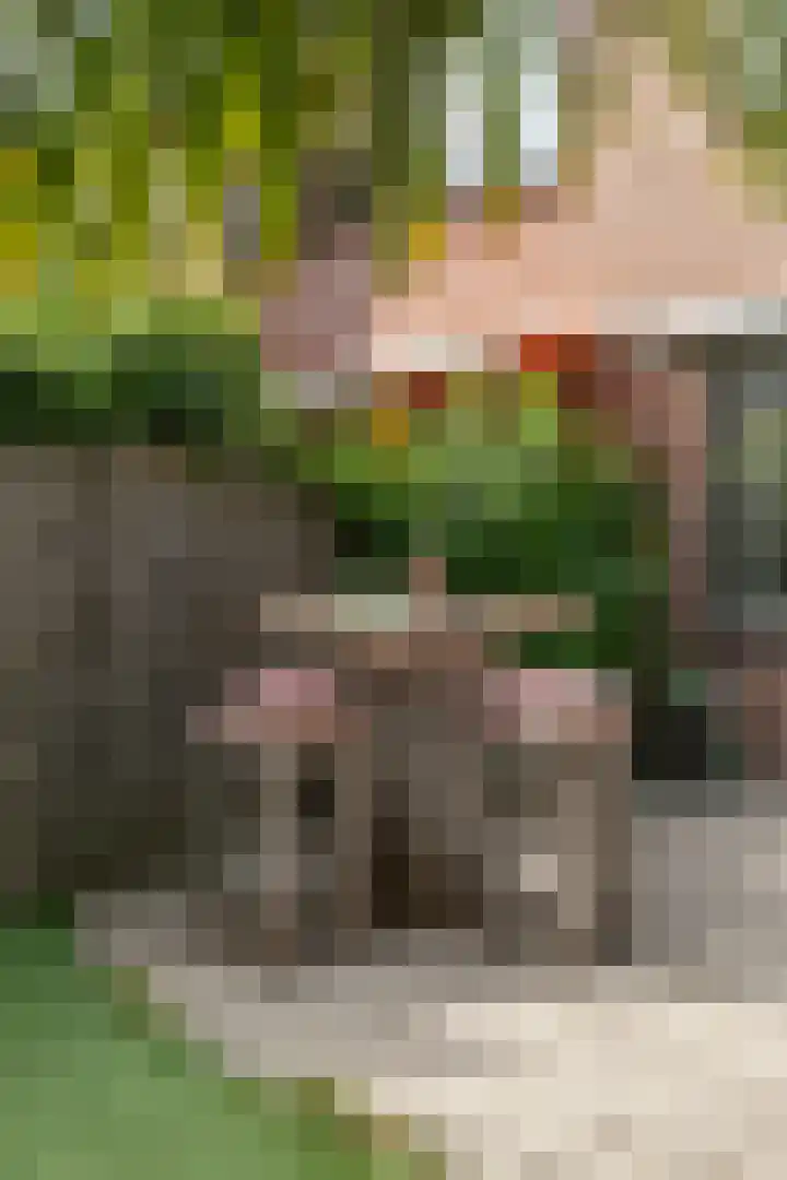 Liede 46 Rotterdam thumbnail 31