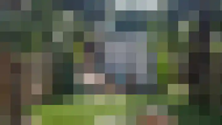 Liede 46 Rotterdam thumbnail 33