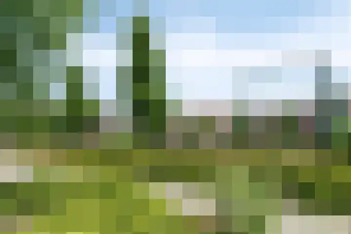 Liede 46 Rotterdam thumbnail 38