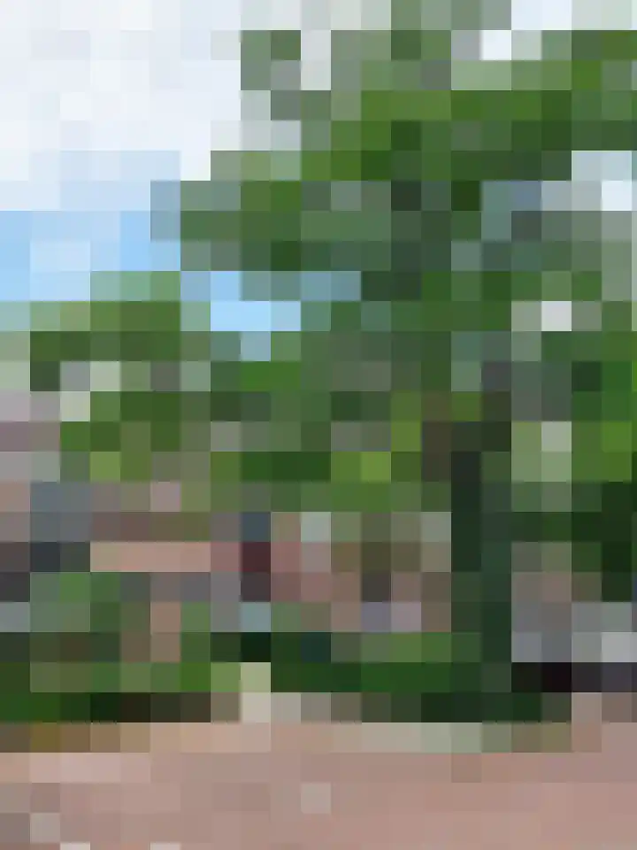 Liede 46 Rotterdam thumbnail 5
