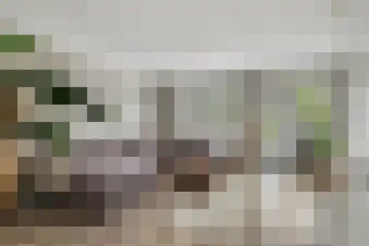 Liede 46 Rotterdam thumbnail 8