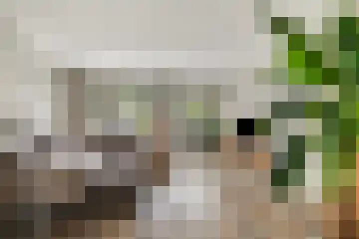 Liede 46 Rotterdam thumbnail 9