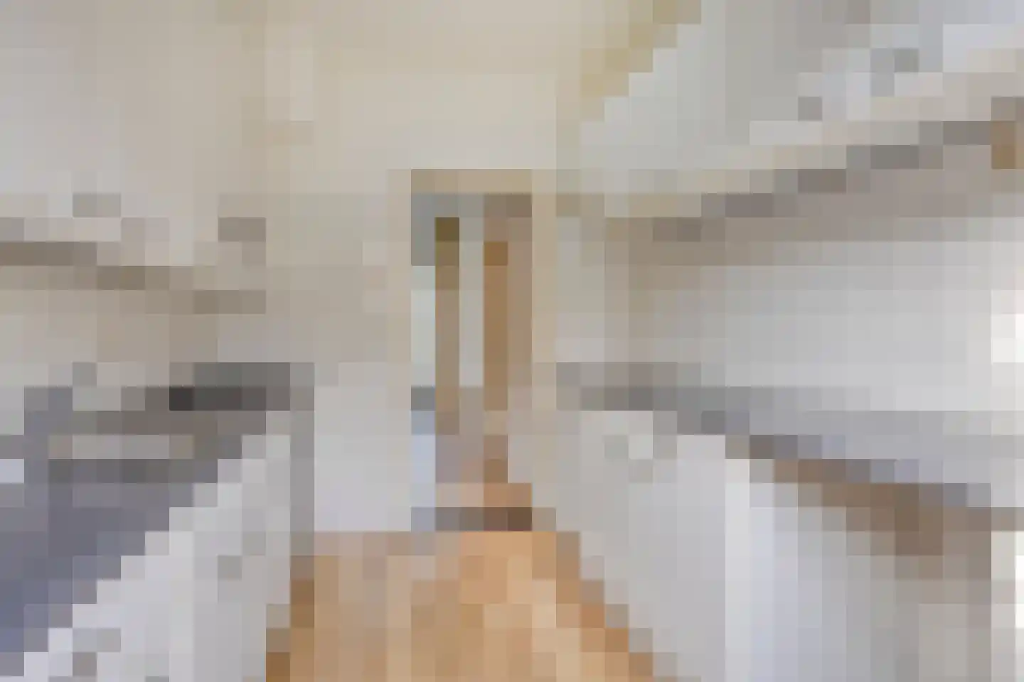 Liede 9 Zwolle thumbnail 14