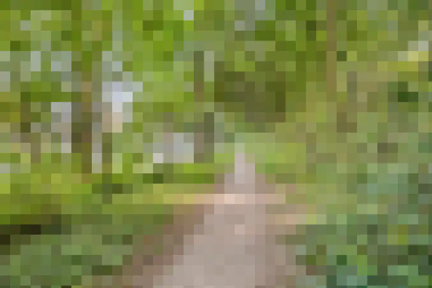 Liede 9 Zwolle thumbnail 35
