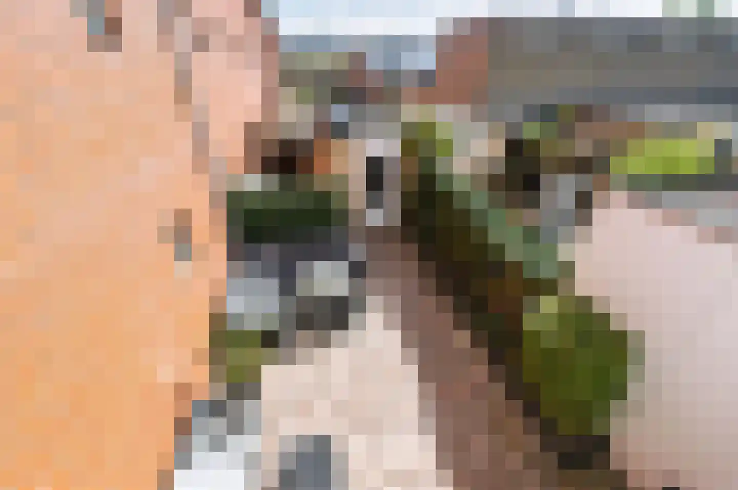 Liedekerkeplantsoen 1 Amsterdam thumbnail 30