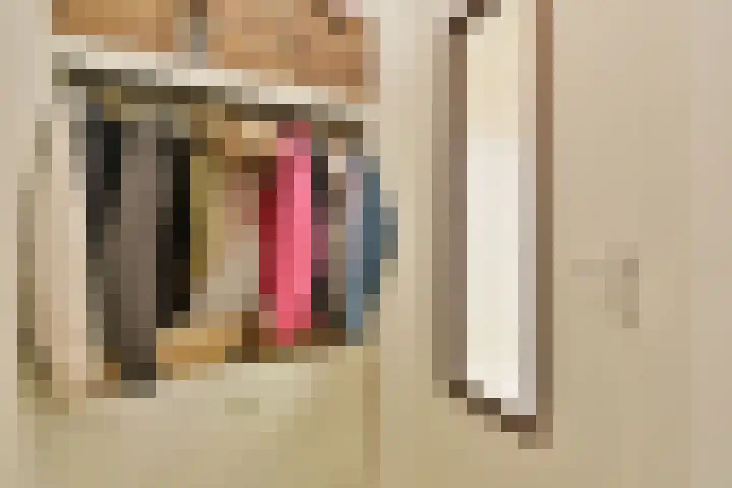 Liedekerkeplantsoen 23 Amsterdam thumbnail 12