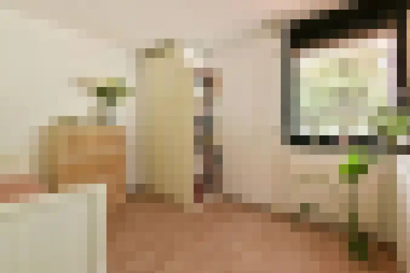 Liedekerkeplantsoen 23 Amsterdam thumbnail 19