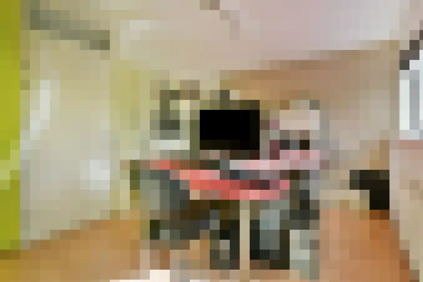 Liedekerkeplantsoen 23 Amsterdam thumbnail 27