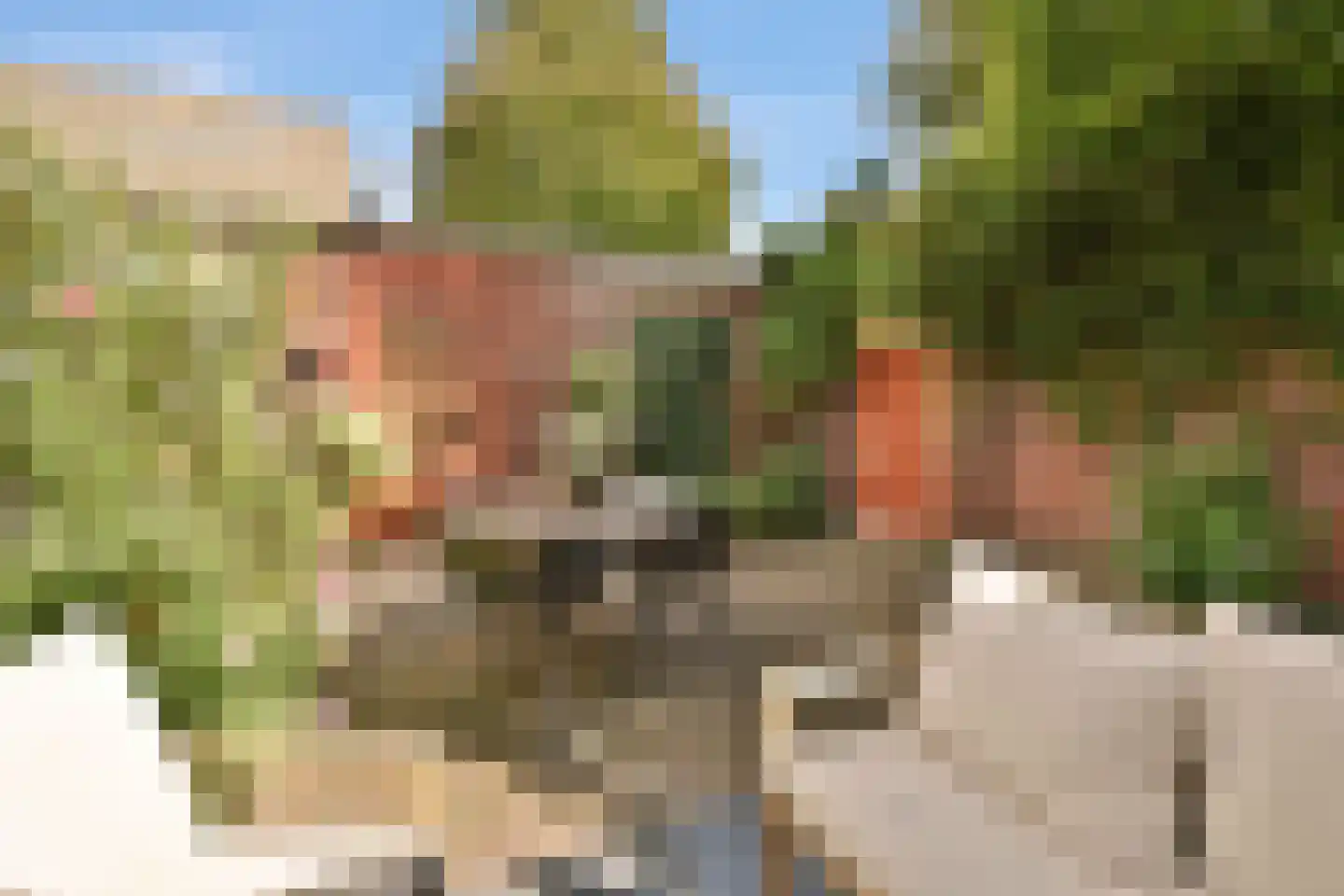 Liedekerkeplantsoen 23 Amsterdam thumbnail 29