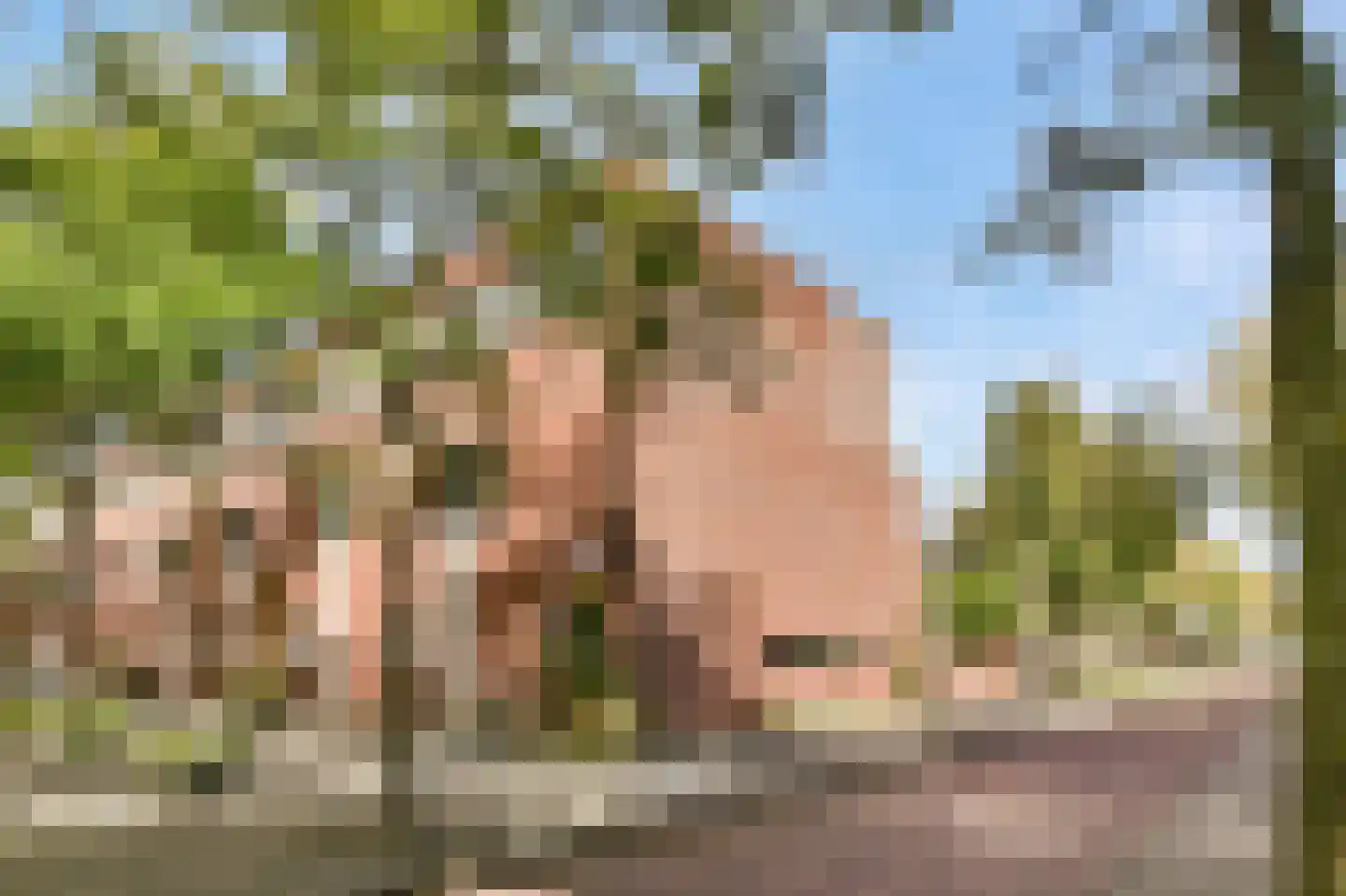 Liedekerkeplantsoen 23 Amsterdam thumbnail 32