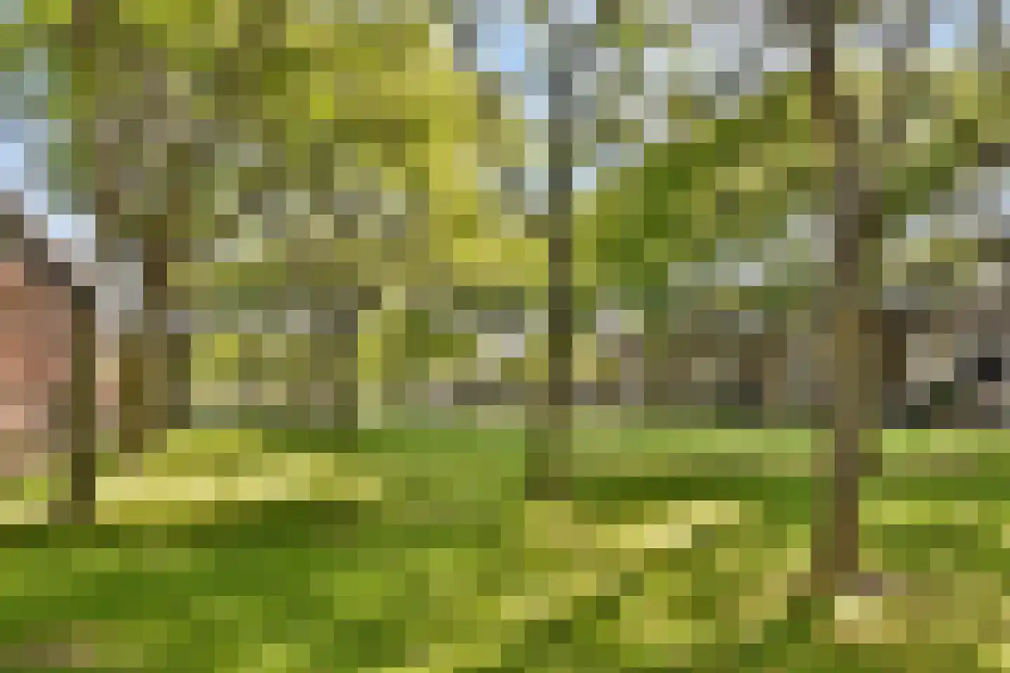 Liedekerkeplantsoen 23 Amsterdam thumbnail 34