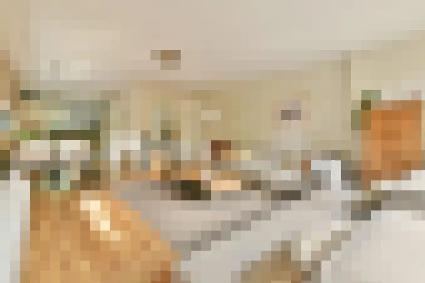 Liedekerkeplantsoen 23 Amsterdam thumbnail 4