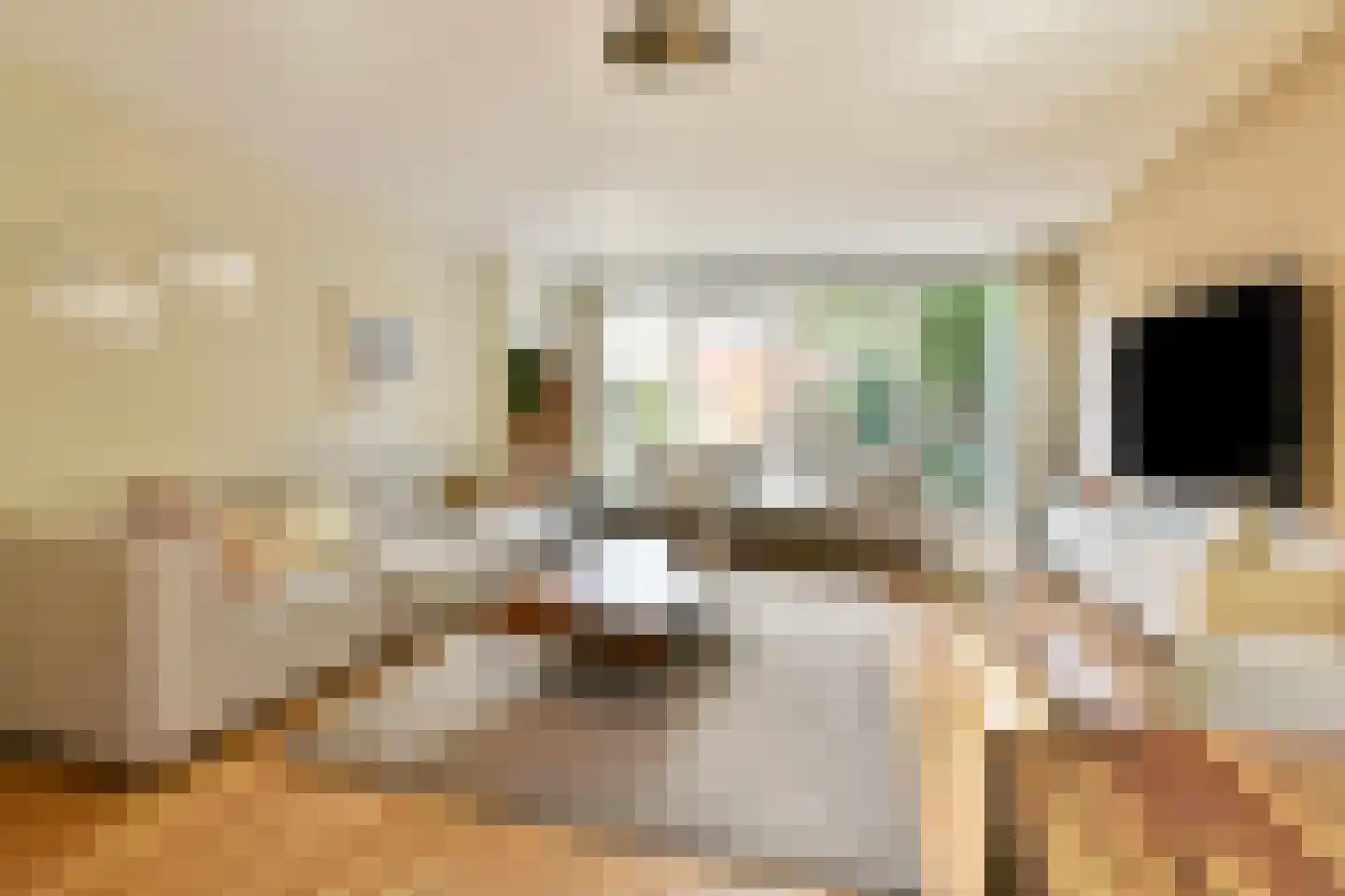 Liedekerkeplantsoen 23 Amsterdam thumbnail 5