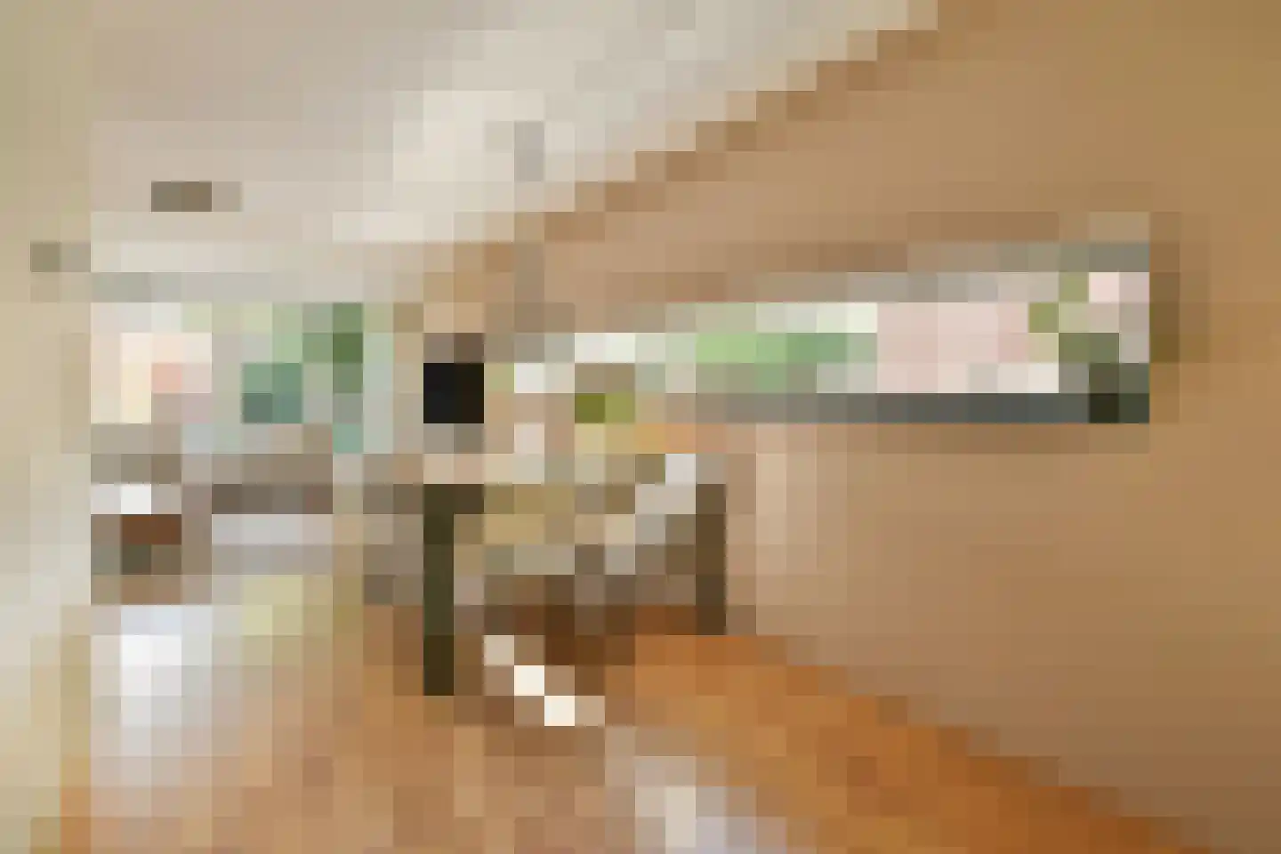 Liedekerkeplantsoen 23 Amsterdam thumbnail 7